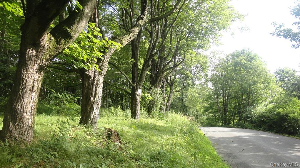 #1 photo, Henry Road, Cragsmoor , NY 12420