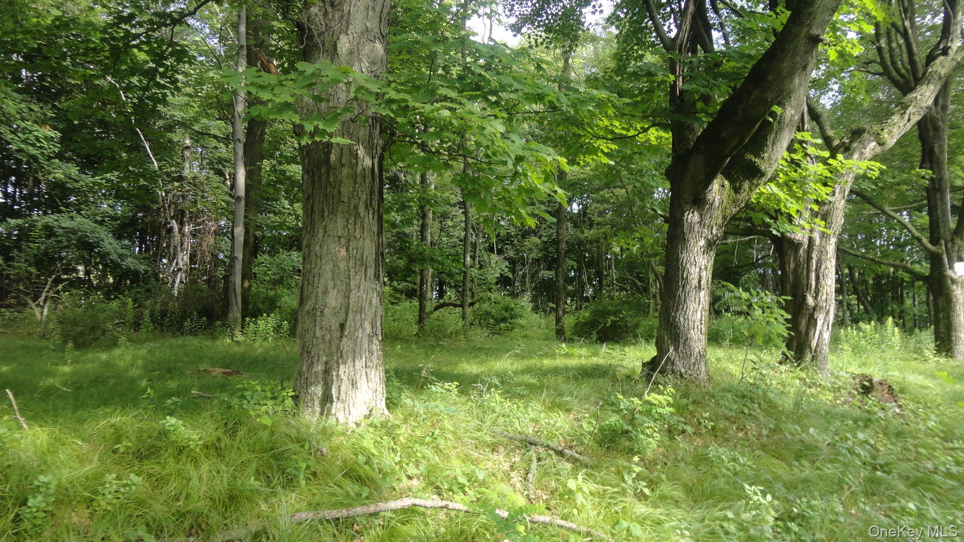 #10 photo, Henry Road, Cragsmoor , NY 12420