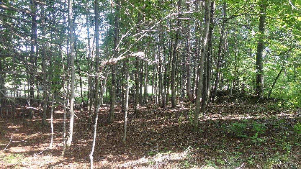 #11 photo, Henry Road, Cragsmoor , NY 12420