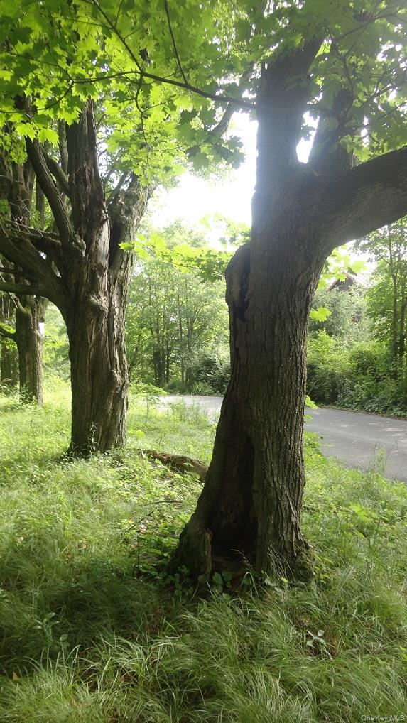 #12 photo, Henry Road, Cragsmoor , NY 12420