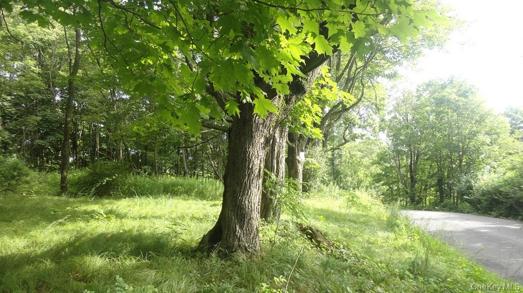 #2 photo, Henry Road, Cragsmoor , NY 12420