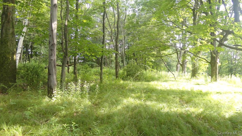 #4 photo, Henry Road, Cragsmoor , NY 12420