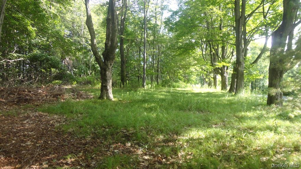 #5 photo, Henry Road, Cragsmoor , NY 12420