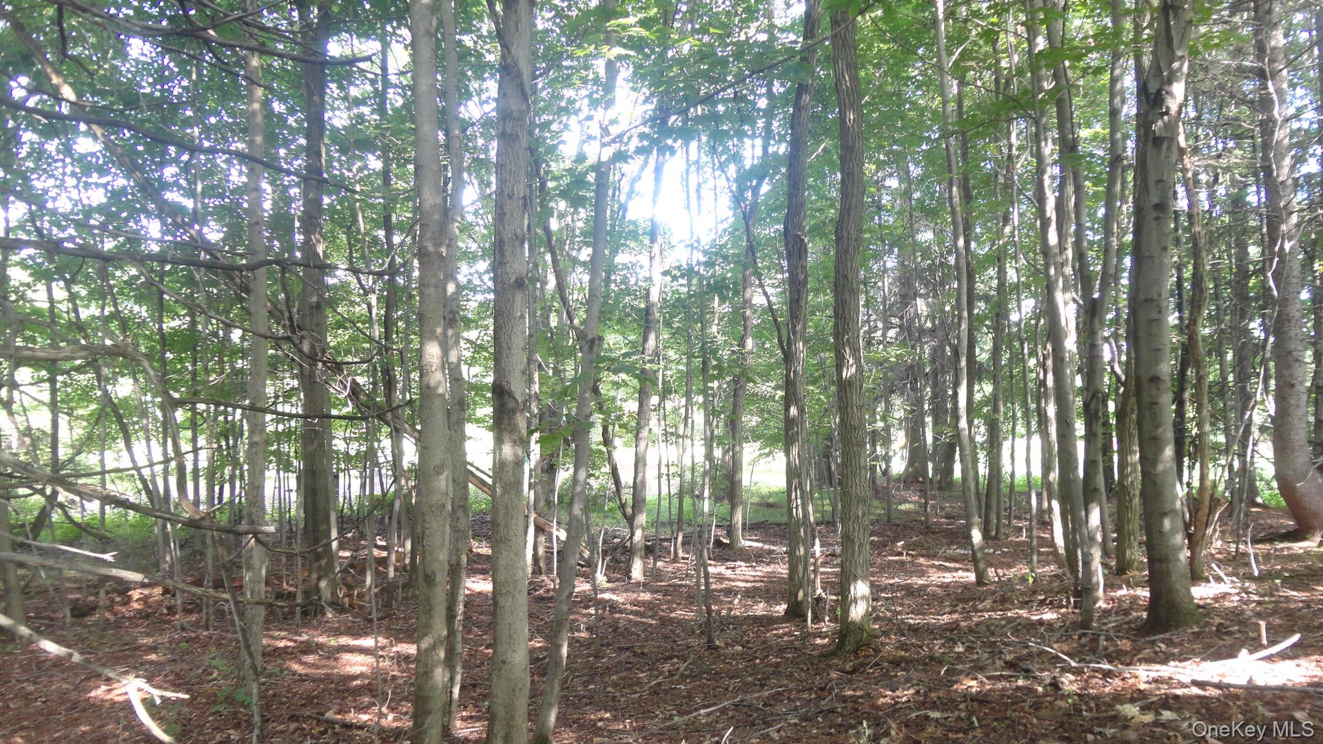 #6 photo, Henry Road, Cragsmoor , NY 12420