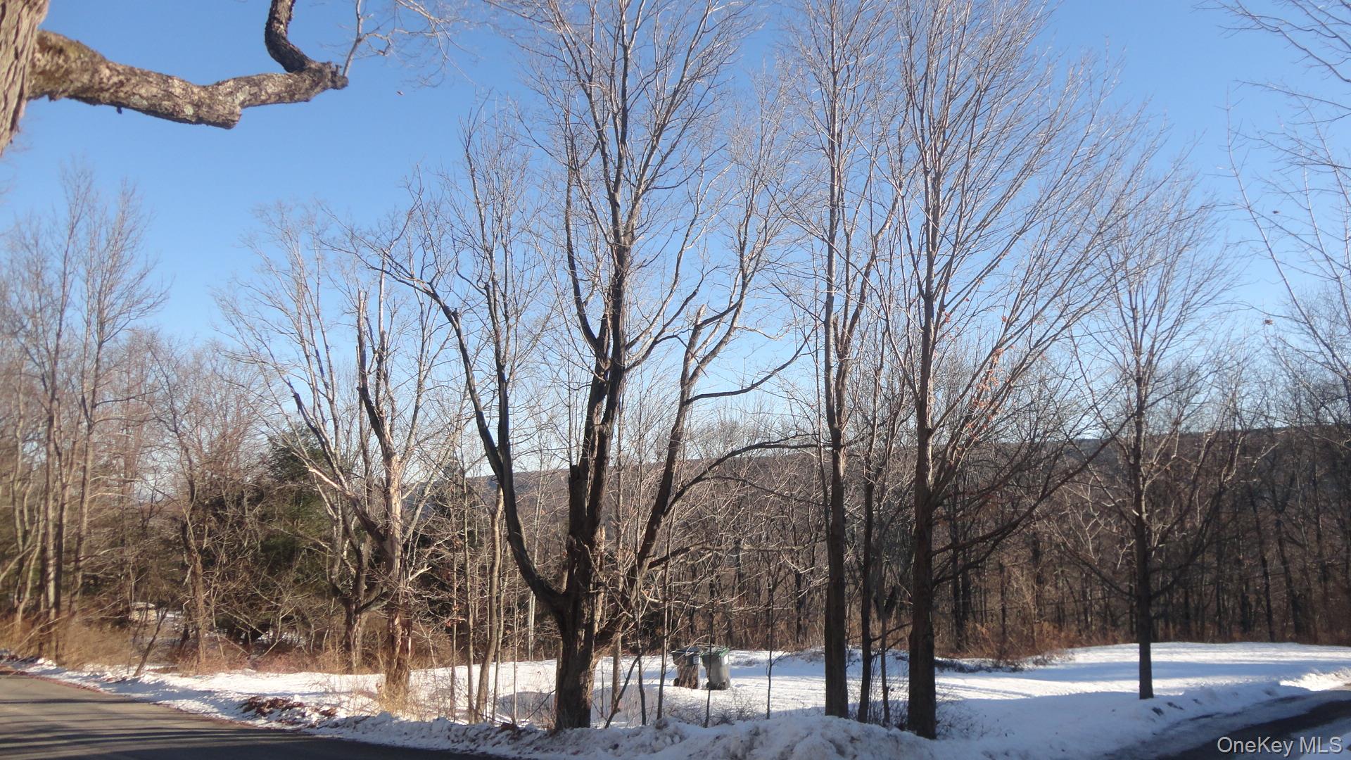 #7 photo, Henry Road, Cragsmoor , NY 12420