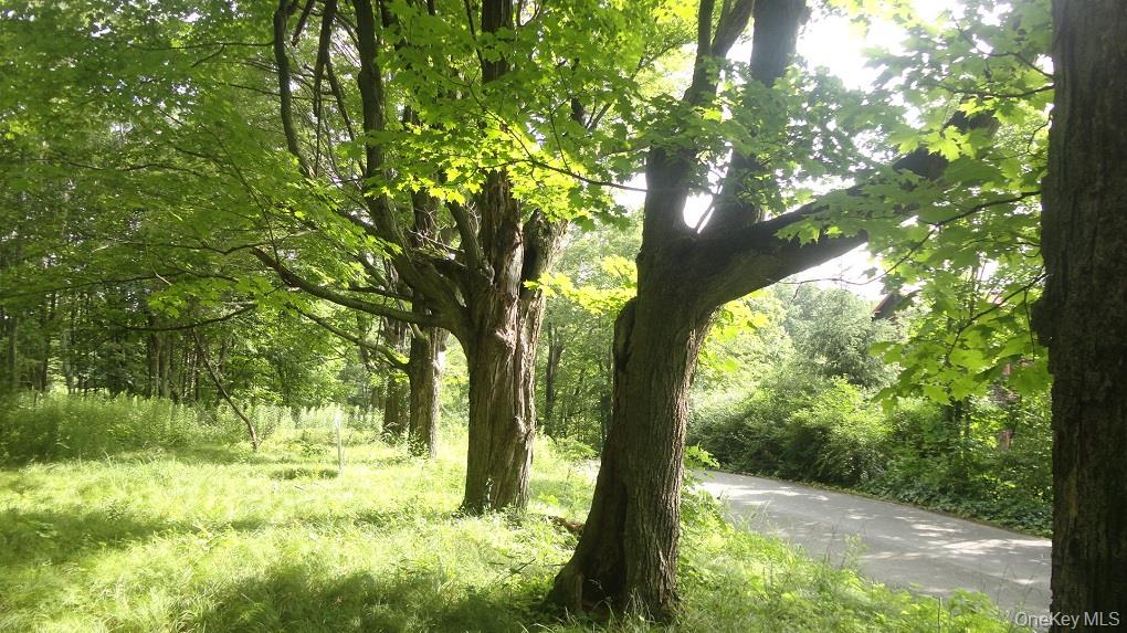 #8 photo, Henry Road, Cragsmoor , NY 12420