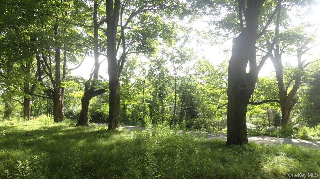 #9 photo, Henry Road, Cragsmoor , NY 12420