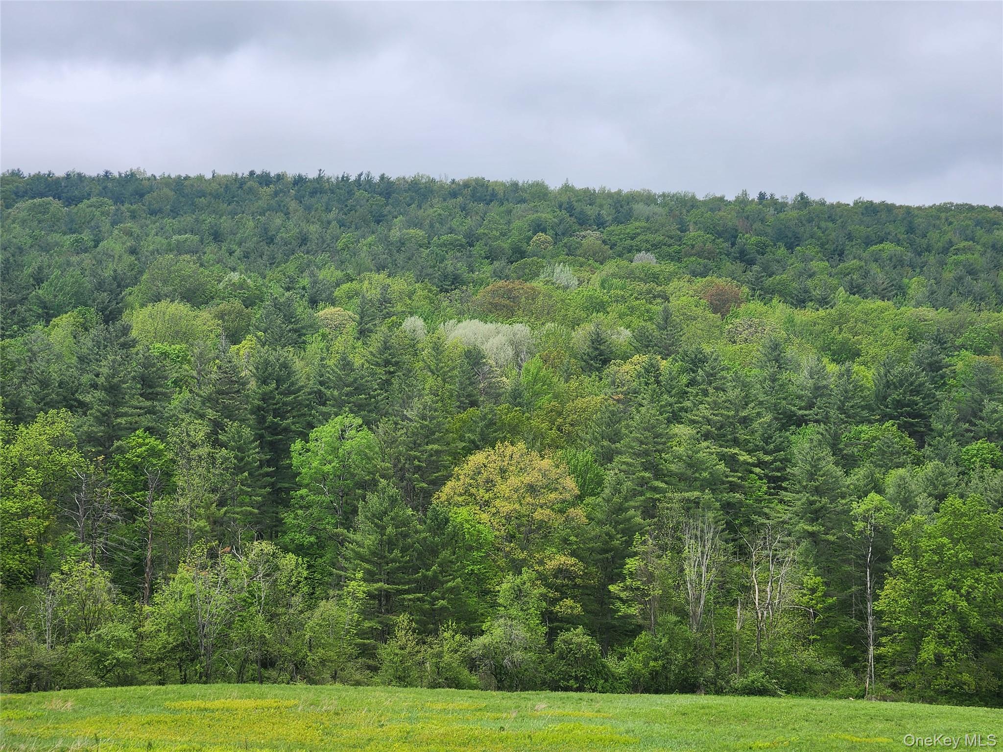 #16 photo, 110 Klemme Road, Other , NY 12166