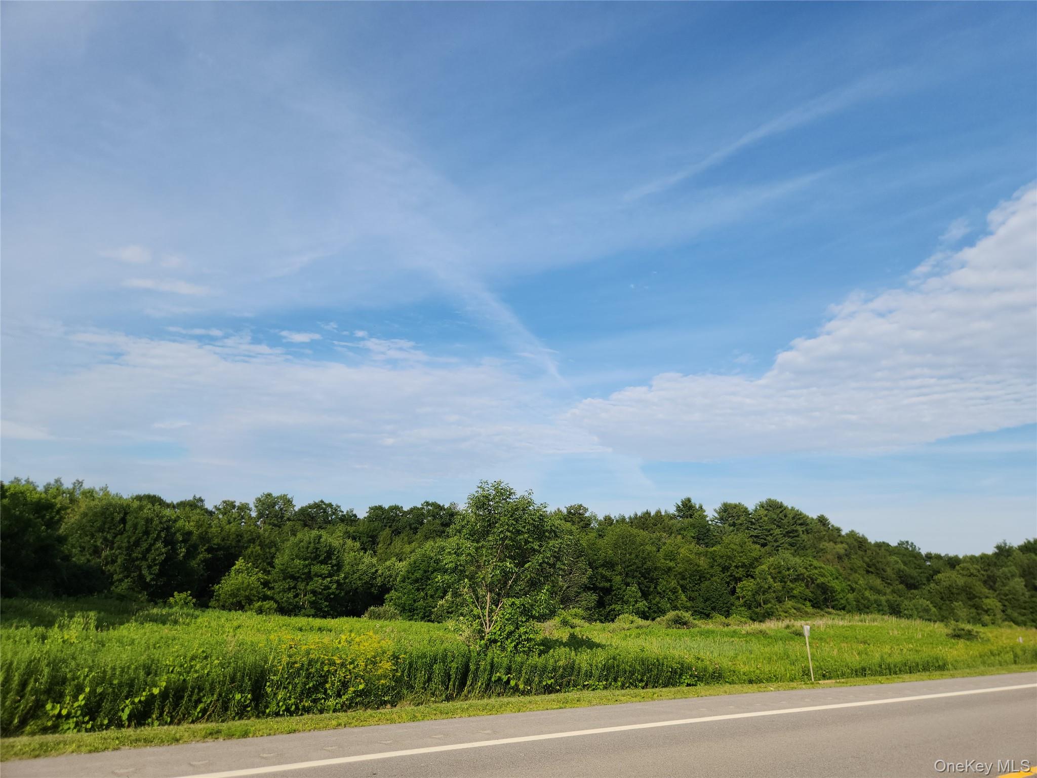 #17 photo, 110 Klemme Road, Other , NY 12166