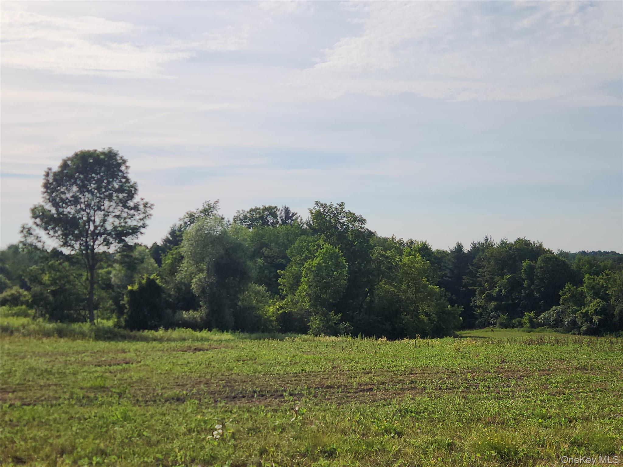 #19 photo, 110 Klemme Road, Other , NY 12166