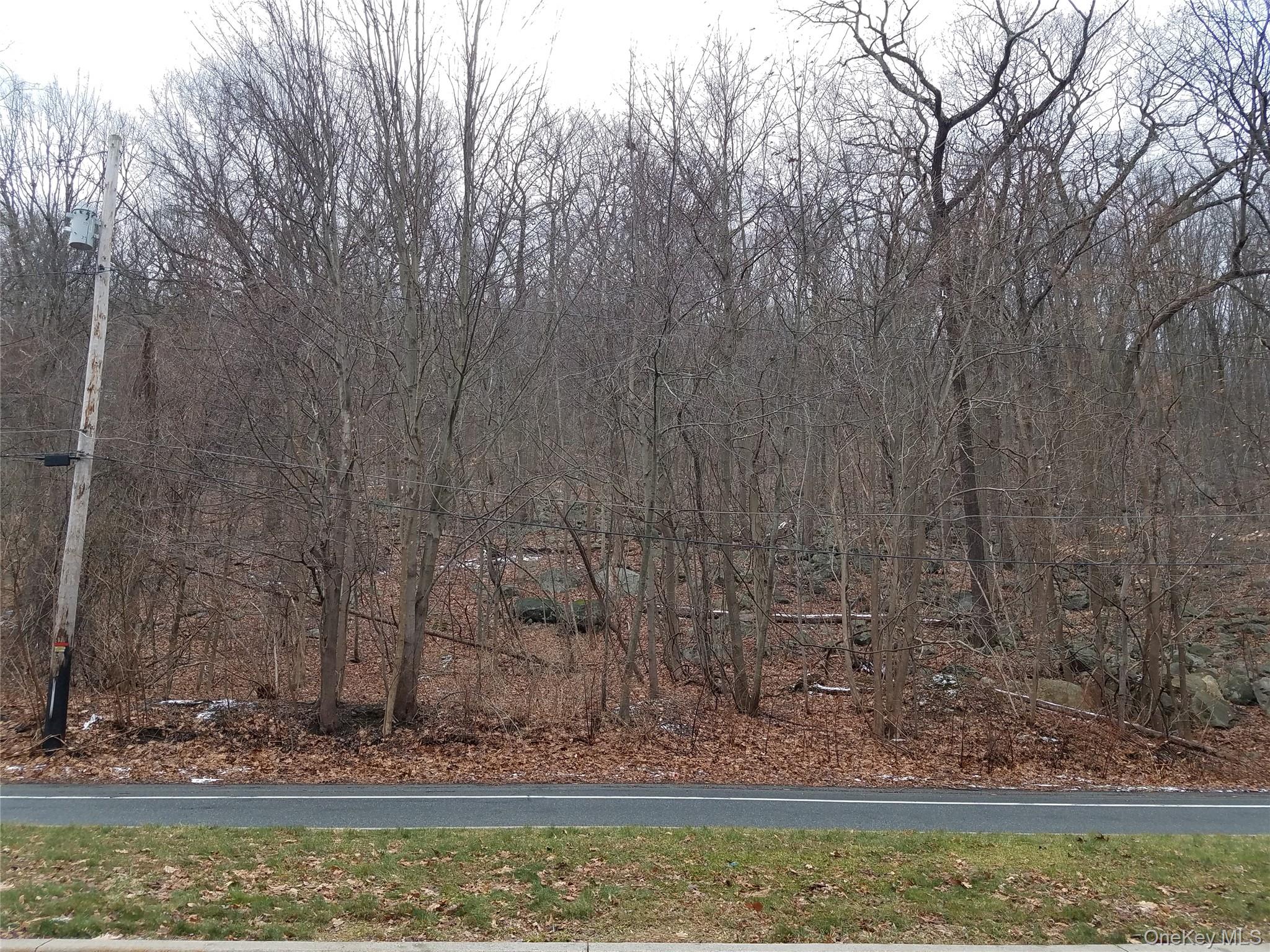 #8 photo, 145 Old Route 17, Hillburn , NY 