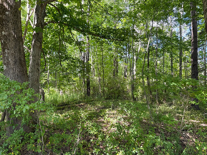 #3 photo, L 9-11 Armstrong Rd & Co Hwy 28, Cooperstown , NY 13326