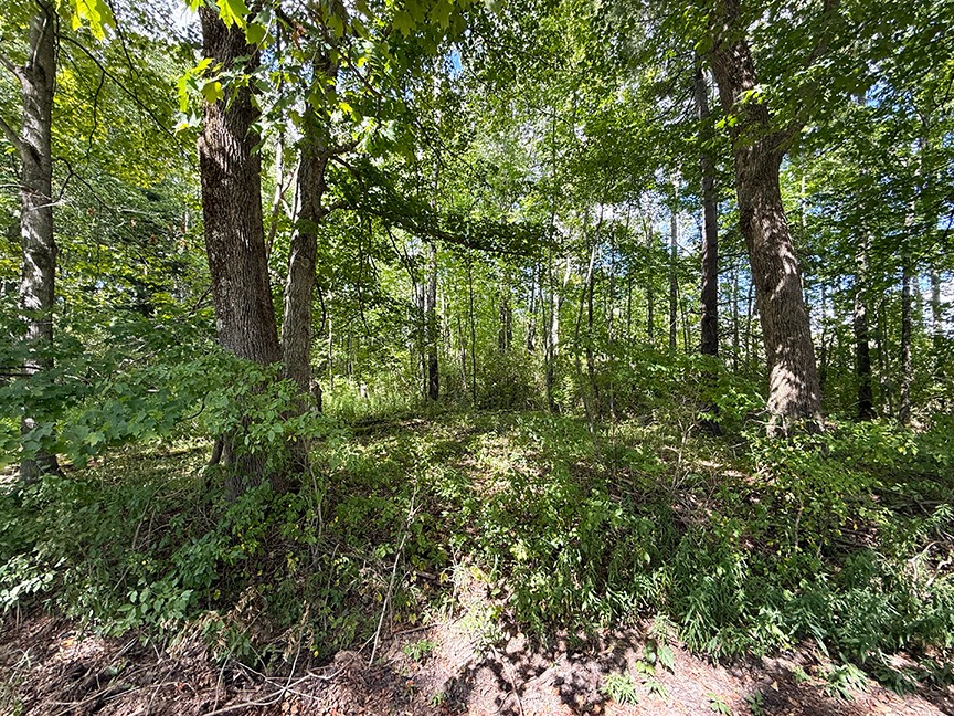 #2 photo, L 40.09 Armstrong Rd, Cooperstown , NY 13326