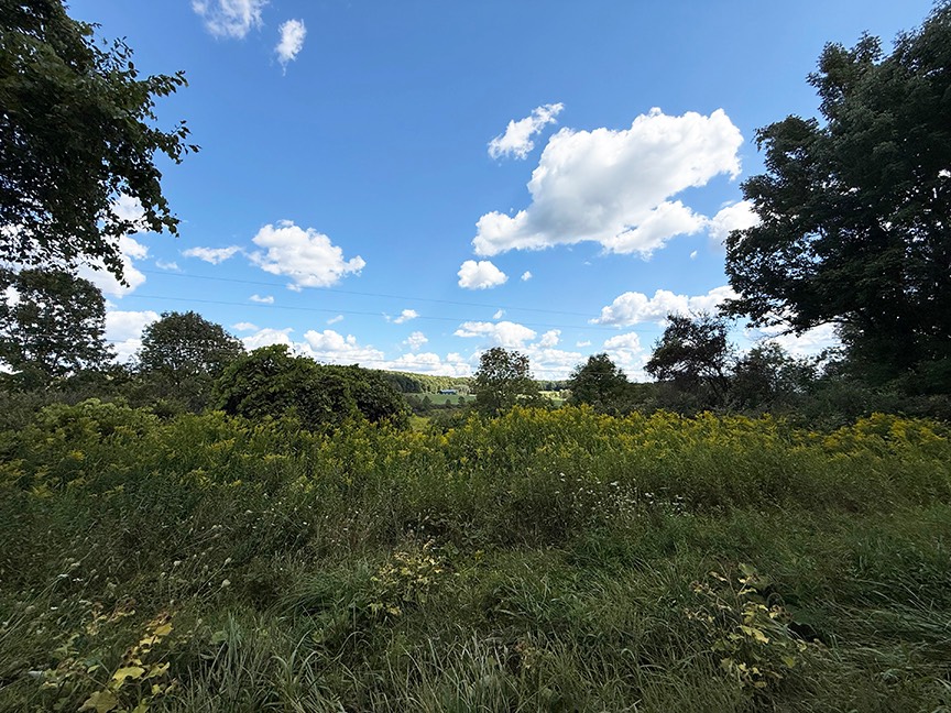 #3 photo, L 40.11 Armstrong Rd & Co Hwy 28, Cooperstown , NY 13326