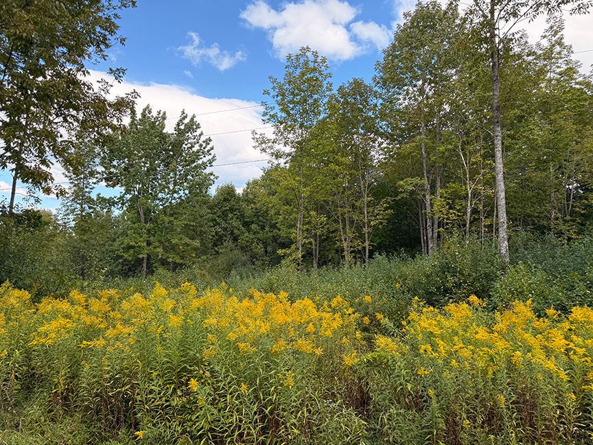 #4 photo, L 7 Thayer Rd & St Hwy 80, Hartwick , NY 13348