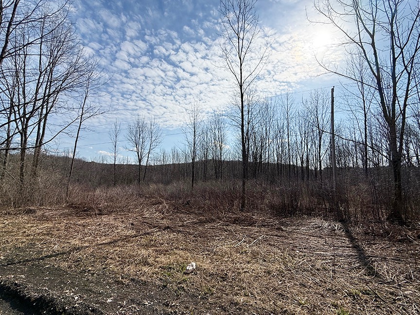 #5 photo, L 7 Thayer Rd & St Hwy 80, Hartwick , NY 13348