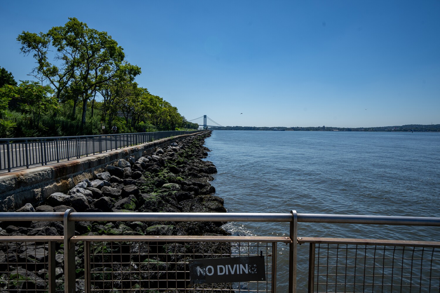 #11 photo, 6925 SHORE Road, ブルックリン区 Bay Ridge , NY 11209