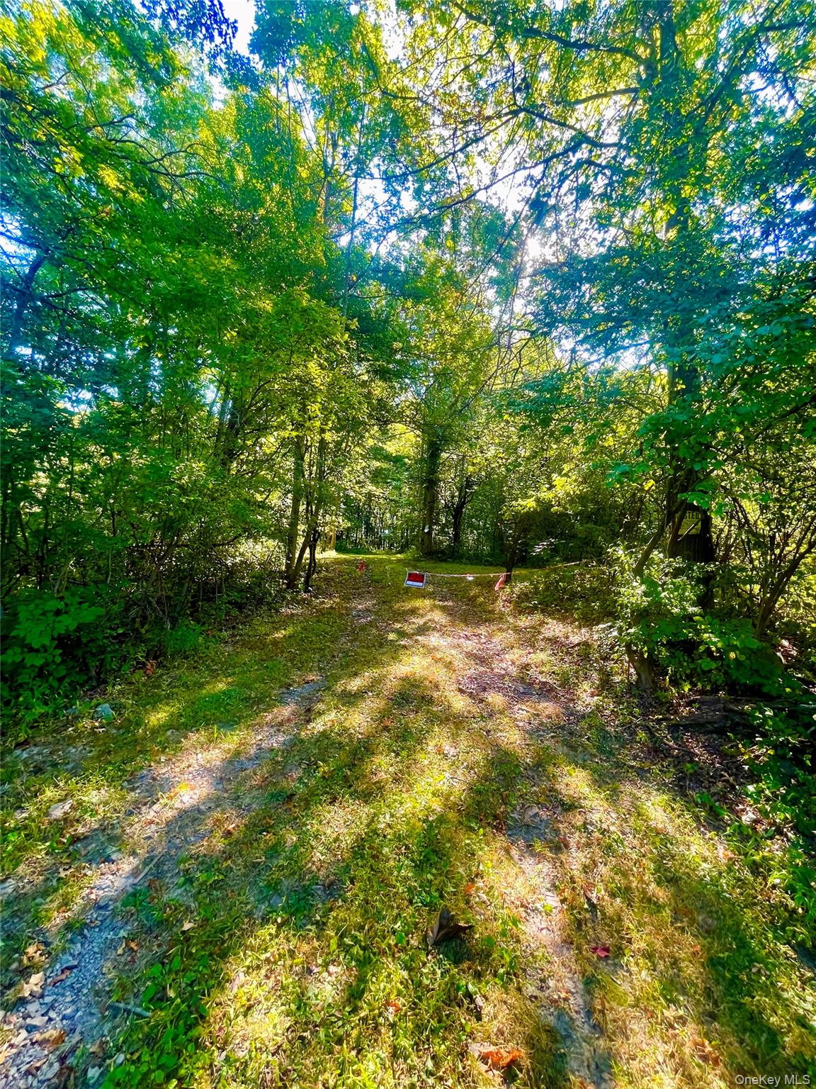 #1 photo, TBD Bull Road, Washingtonville , NY 10992