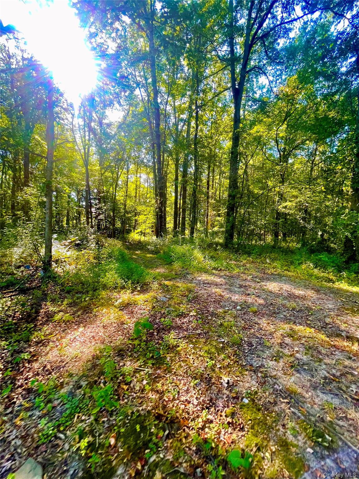 #8 photo, TBD Bull Road, Washingtonville , NY 10992