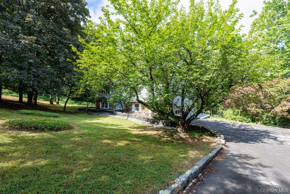 #6 photo, 43 Points Of View, Warwick , NY 10990