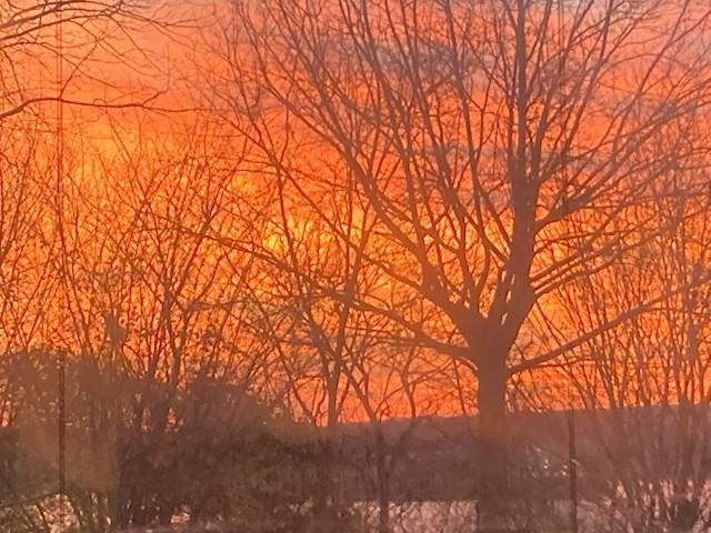 #6 photo, 9411 Shore Road, ブルックリン区 Fort Hamilton , NY 11209