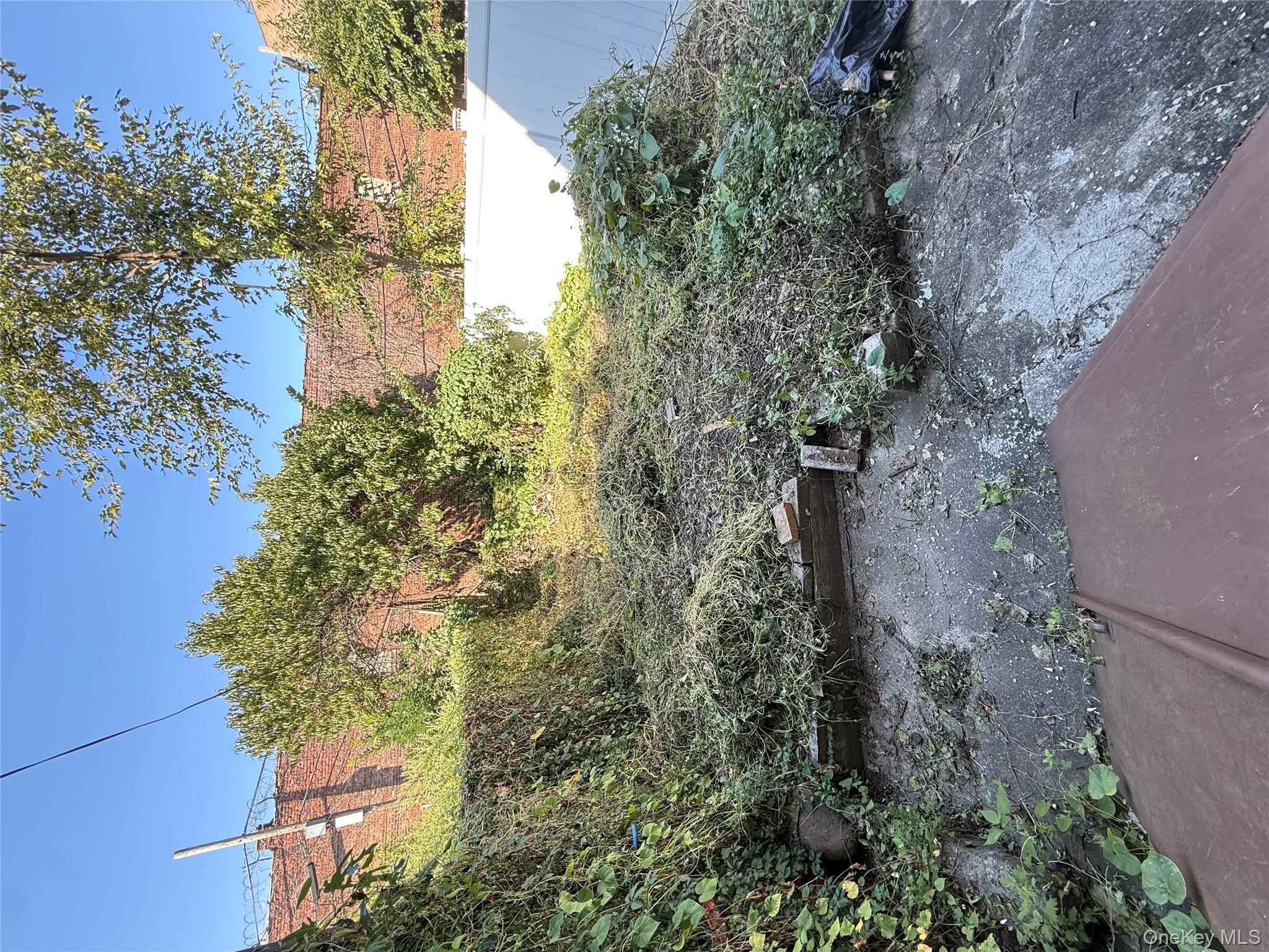 #17 photo, 1655 Lincoln Place, Brooklyn , NY 11233