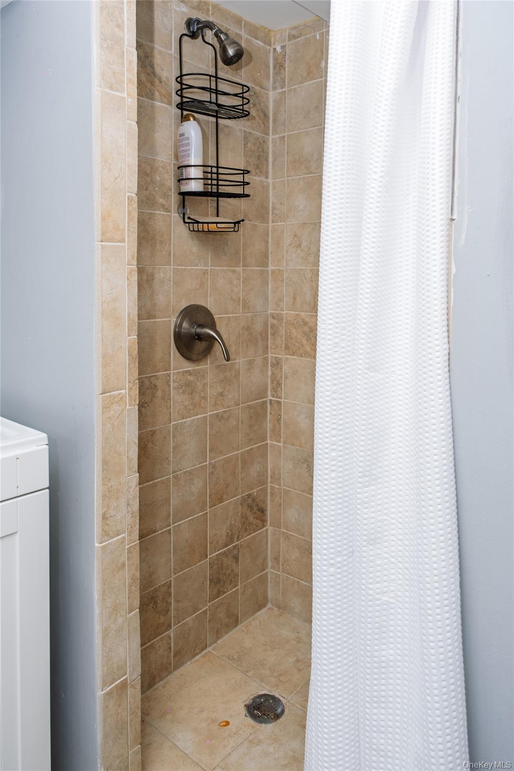 #18 photo, 217 Elton Road, Stewart Manor , NY 11530