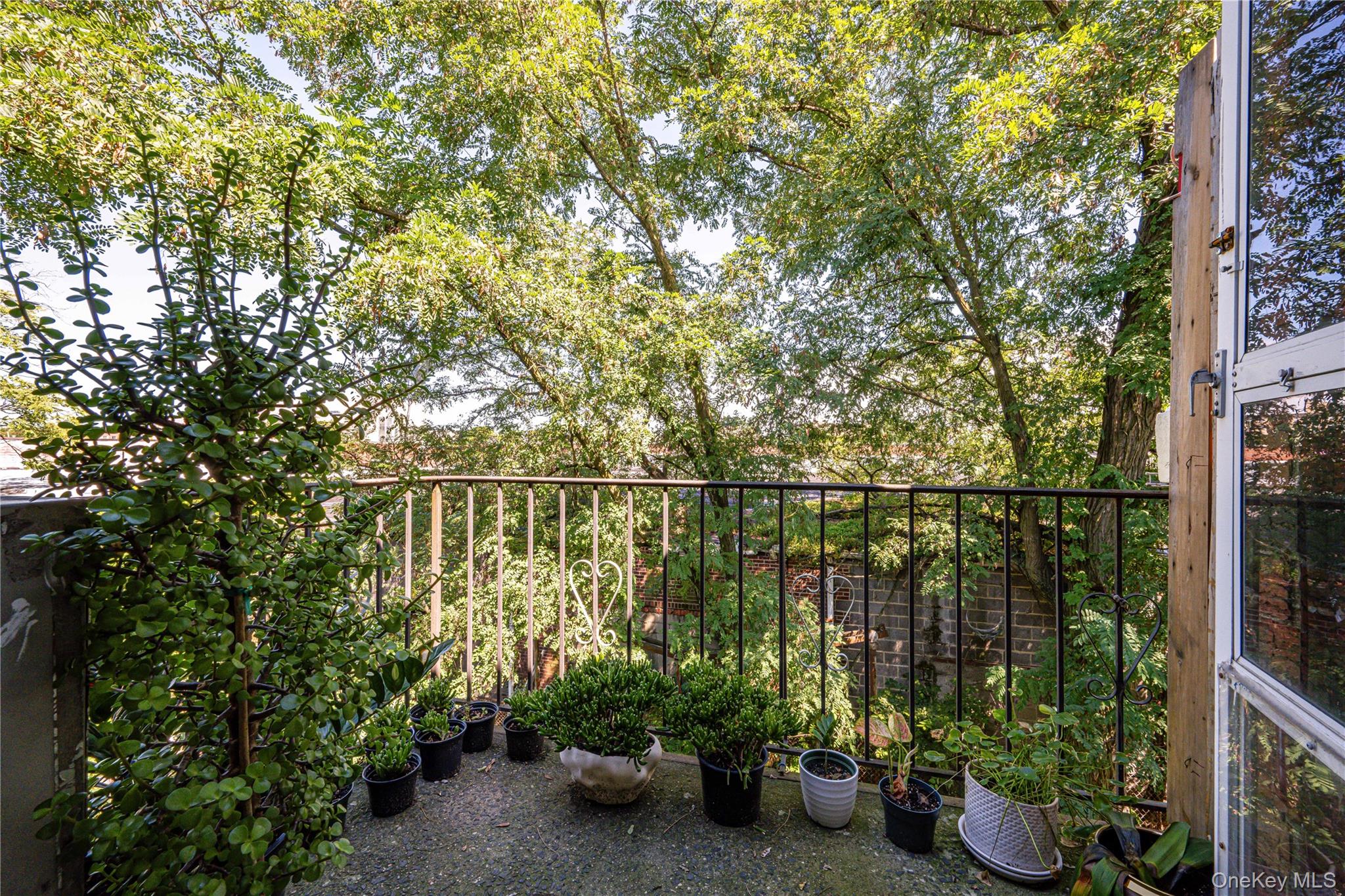 #5 photo, 53-37 97 Street, クイーンズ区 Corona , NY 11368