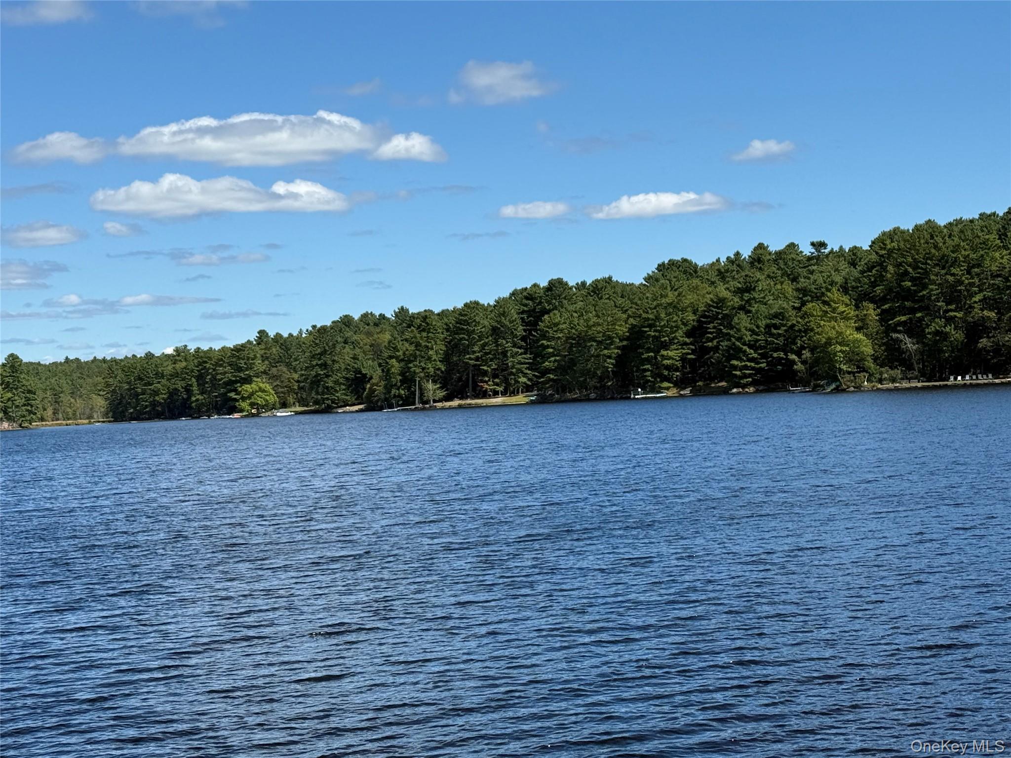 #4 photo, 35 Oneida Trail, Glen Spey , NY 12737