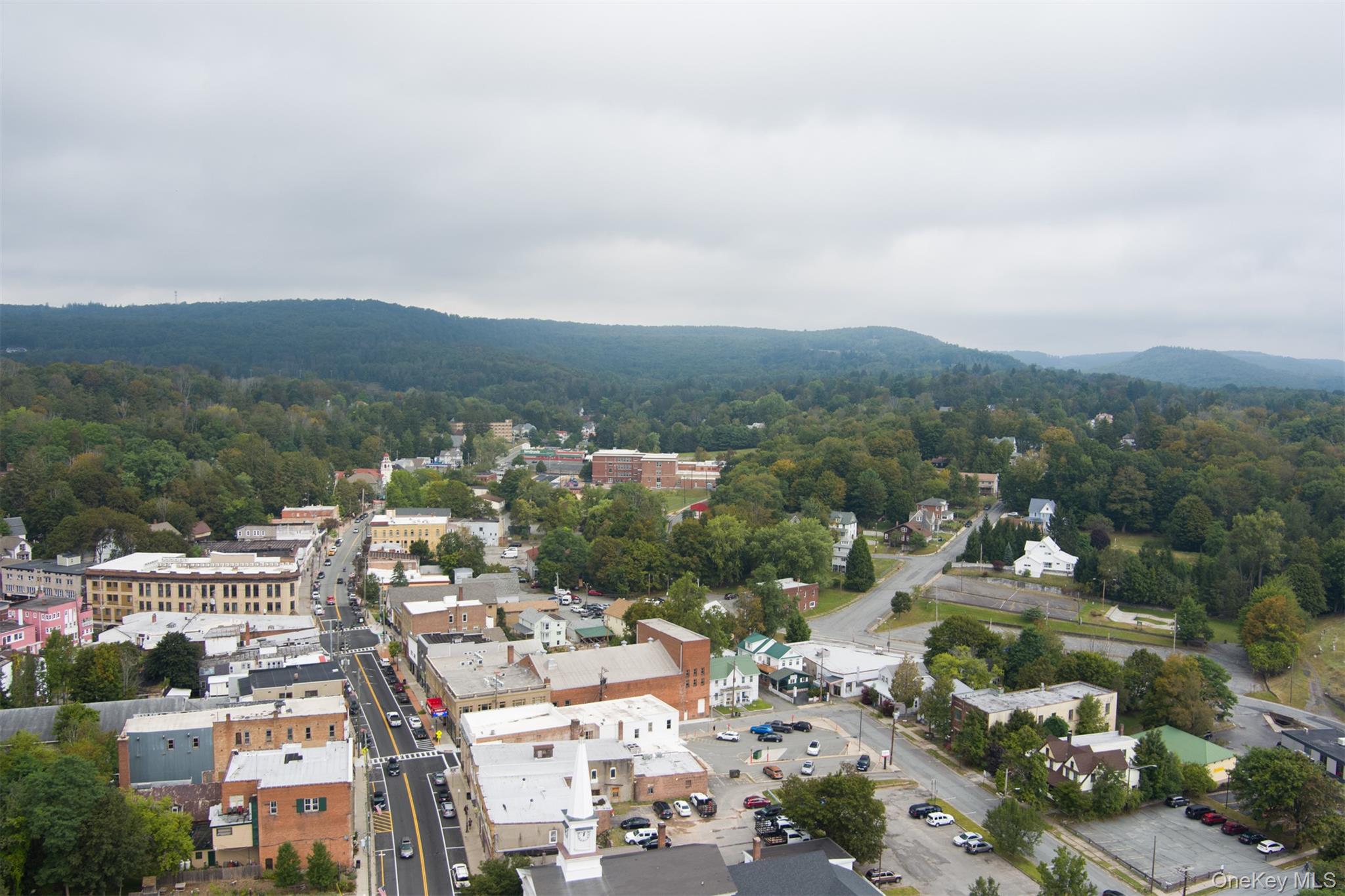 #19 photo, 55 Webster Avenue, Liberty , NY 12754