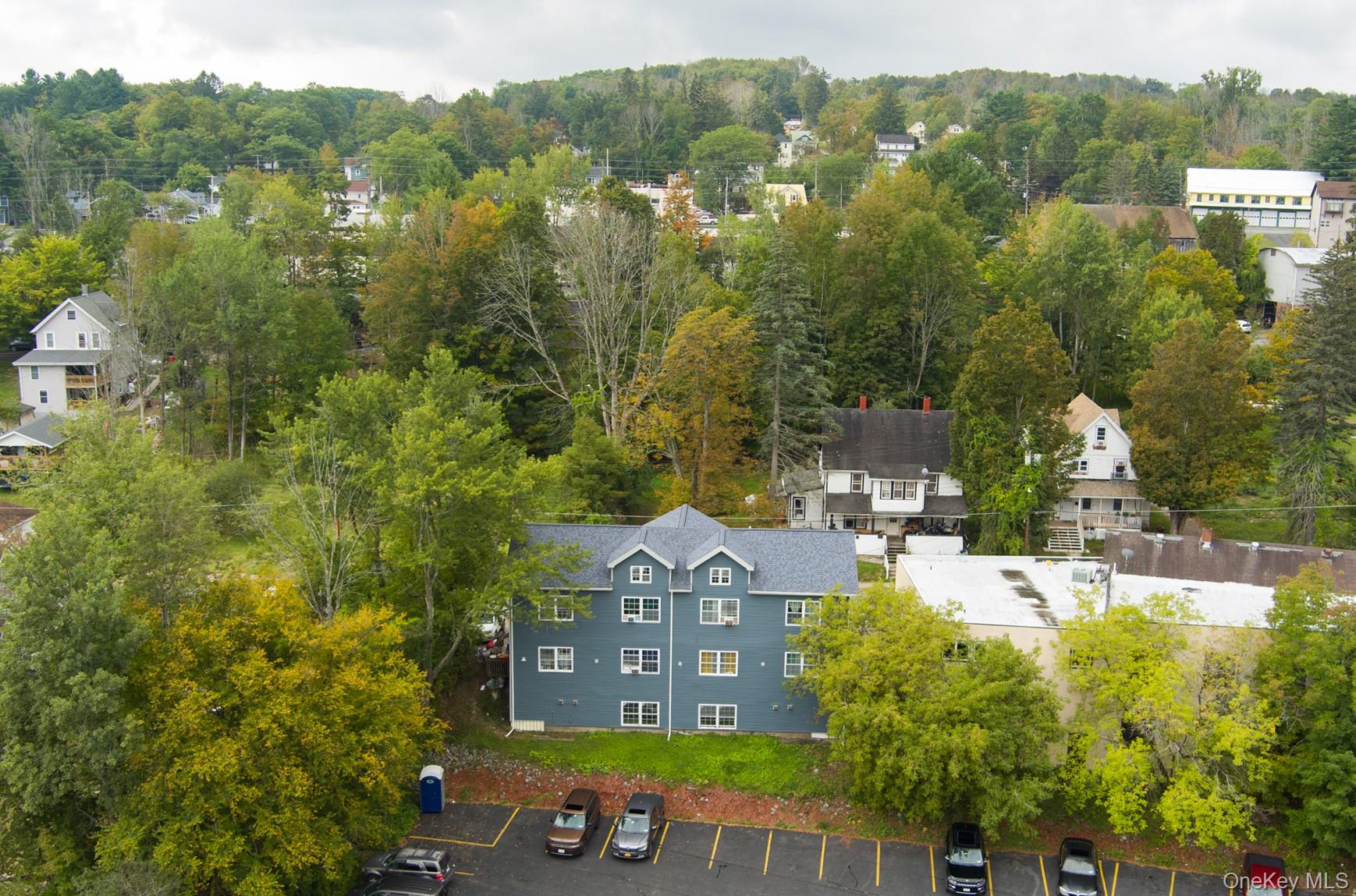 #4 photo, 55 Webster Avenue, Liberty , NY 12754