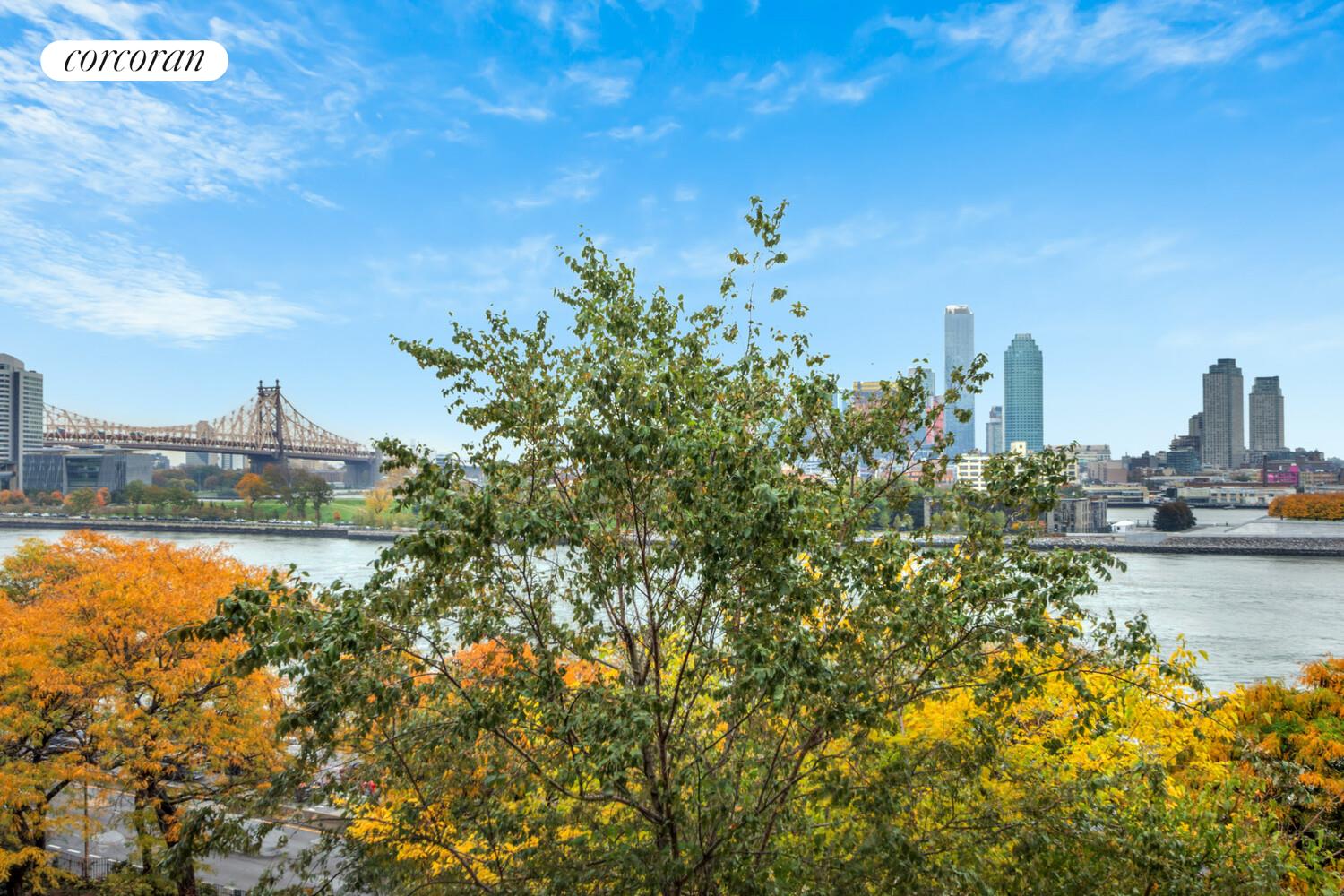 #20 photo, 7 BEEKMAN Place, マンハッタン Beekman , NY 10022