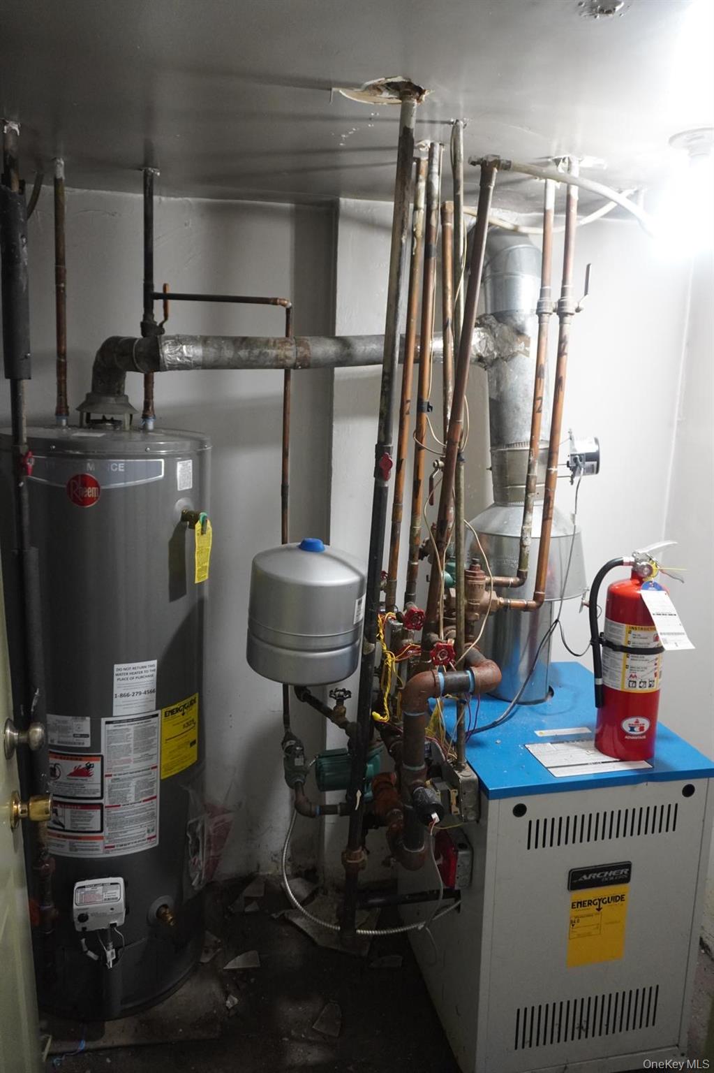 #7 photo, 1384 Clinton Avenue, ブロンクス区 Bronx , NY 10456