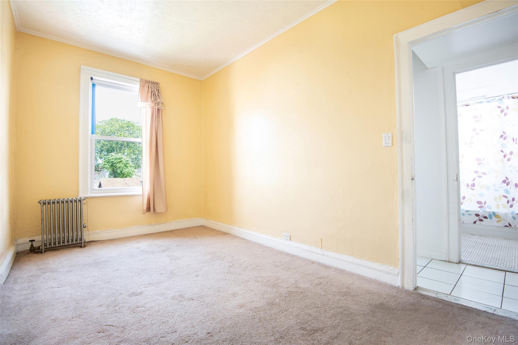 #13 photo, 710 Revere Avenue, ब्रोंक्स Bronx , NY 10465