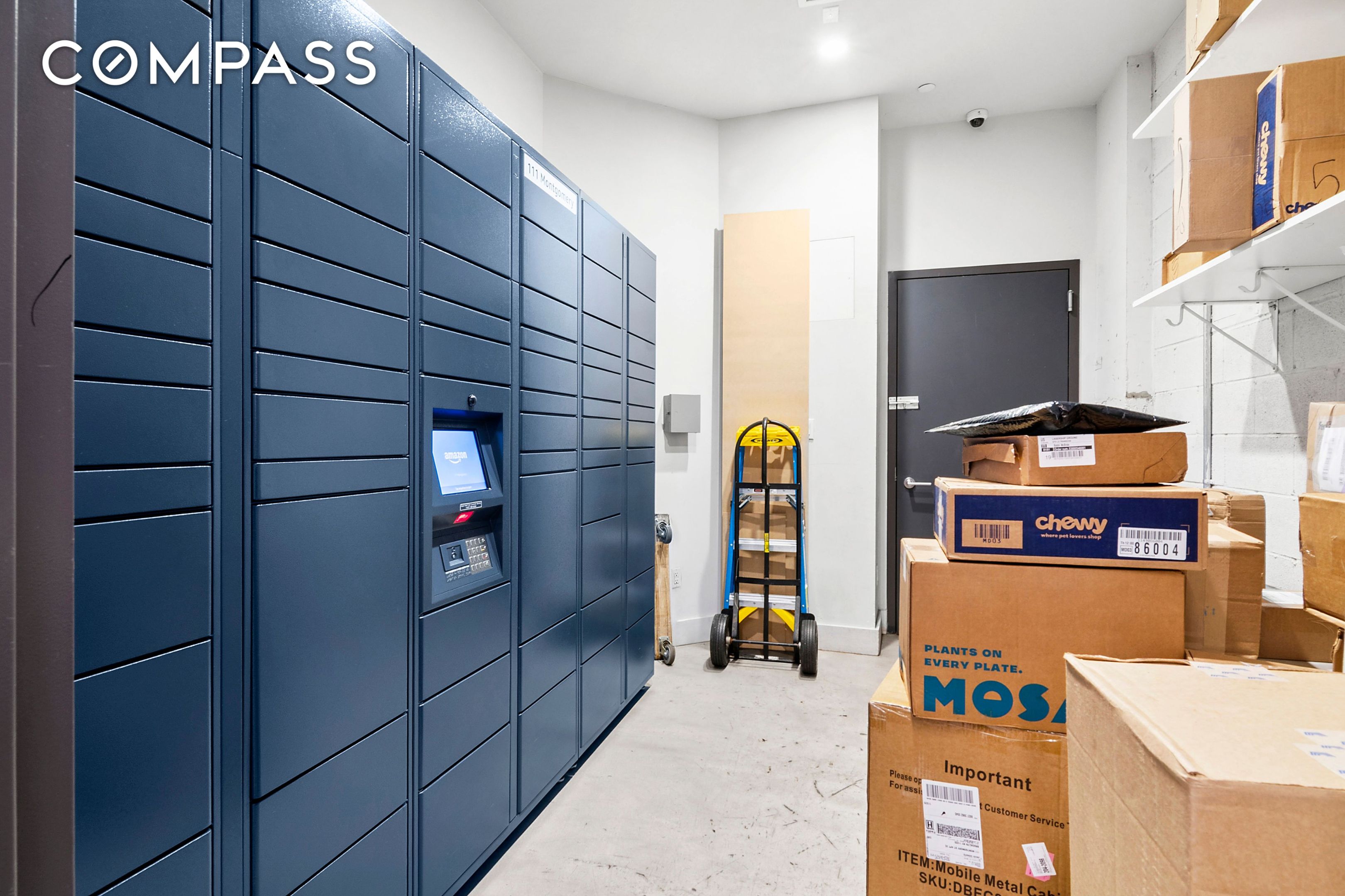 #10 photo, 111 Montgomery Street, ブルックリン区 Crown Heights , NY 11225