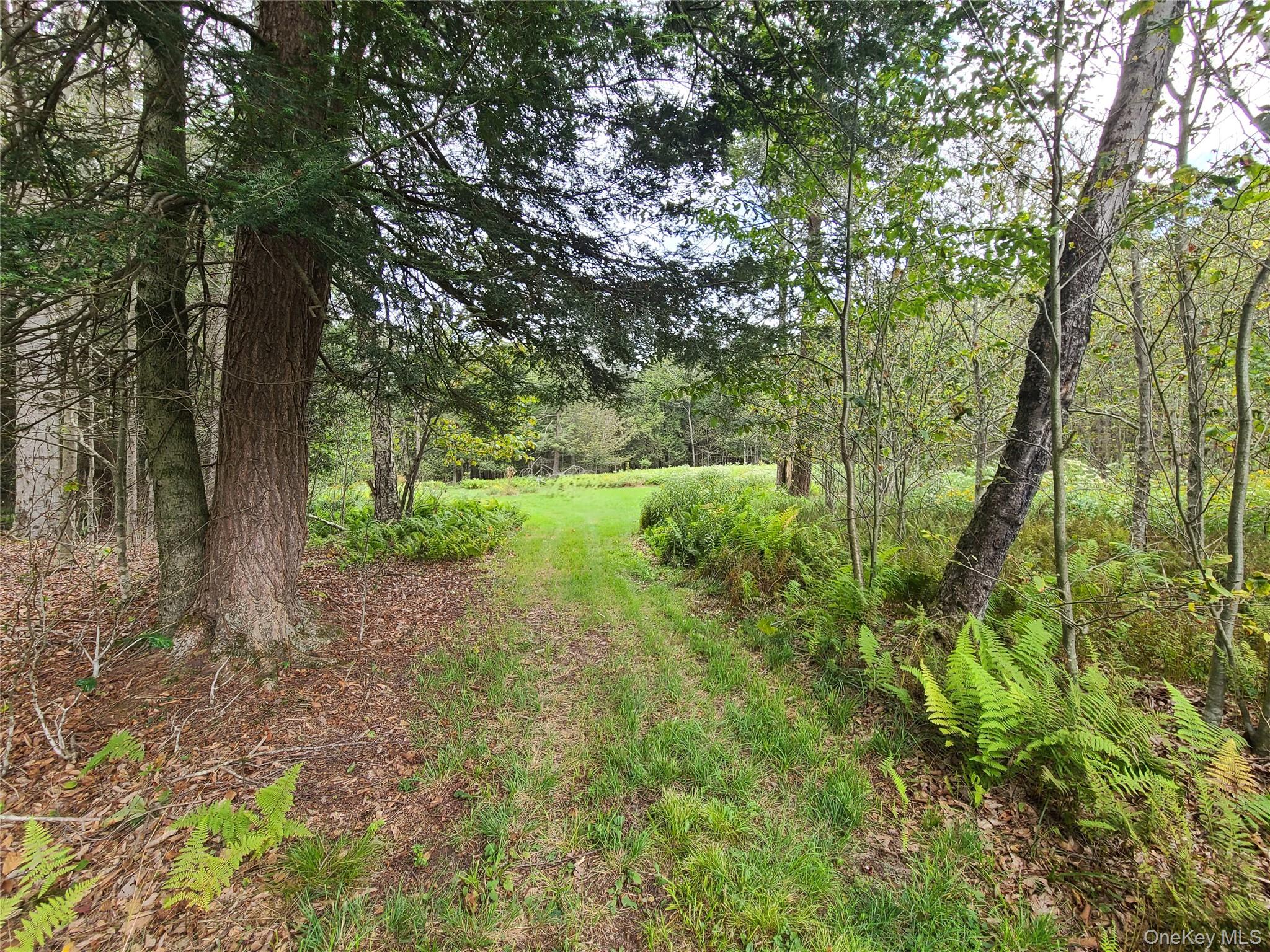 #5 photo, 82 Benton Hollow Road, Liberty , NY 12754