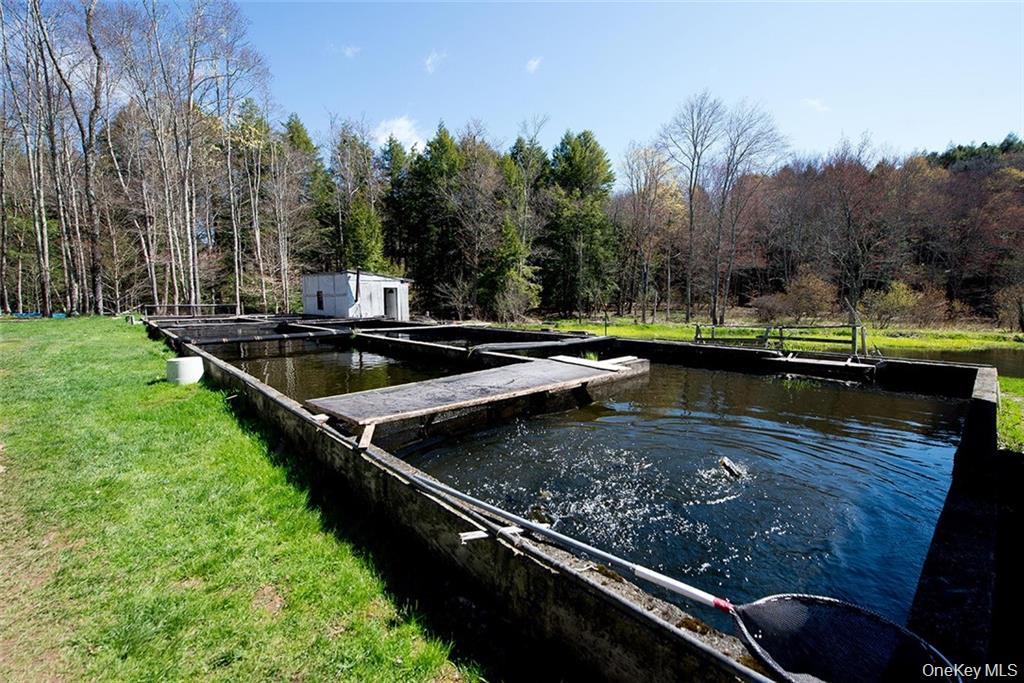 #10 photo, 50 Carr Road, Ferndale , NY 12734