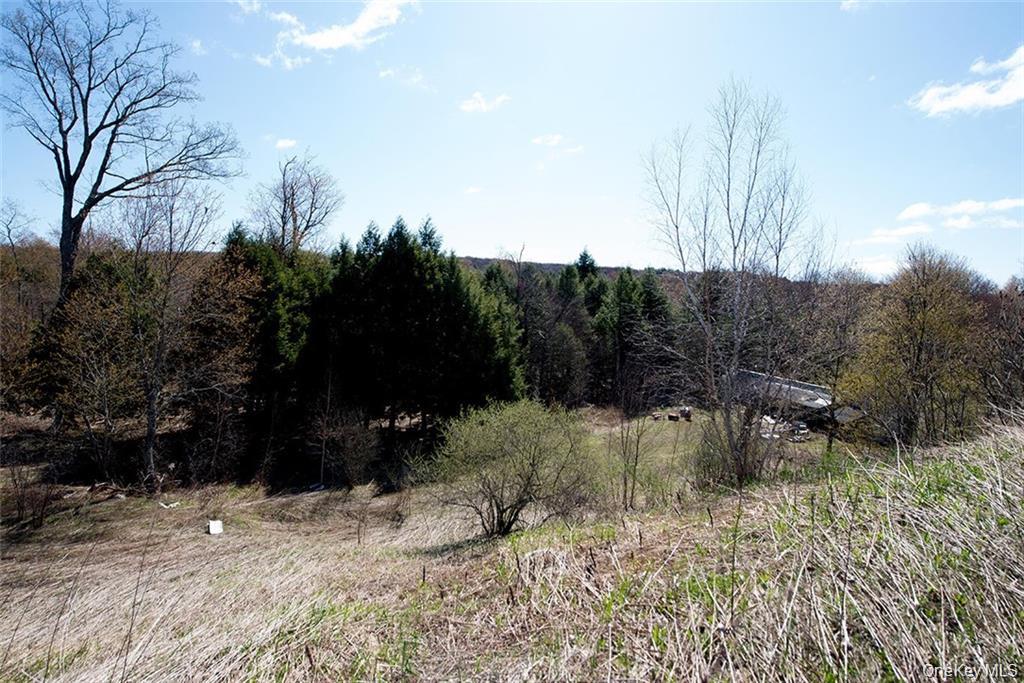 #11 photo, 50 Carr Road, Ferndale , NY 12734