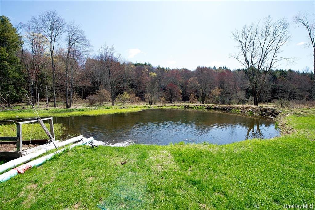 #12 photo, 50 Carr Road, Ferndale , NY 12734