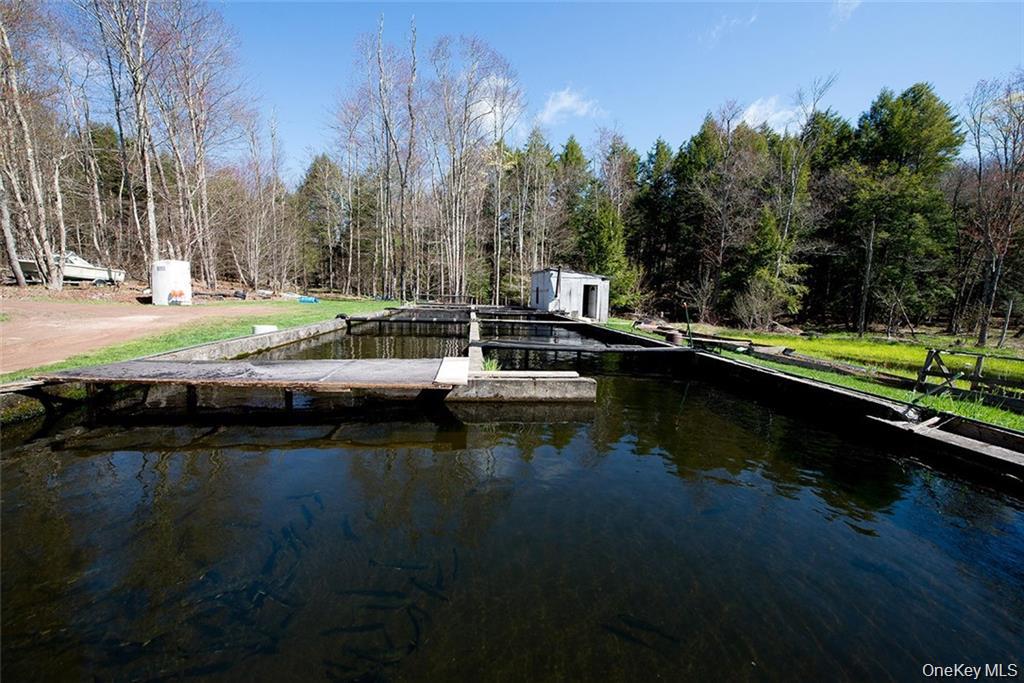 #13 photo, 50 Carr Road, Ferndale , NY 12734