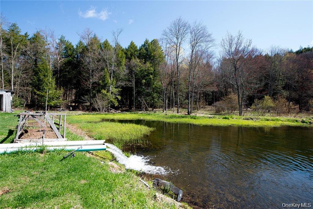 #14 photo, 50 Carr Road, Ferndale , NY 12734