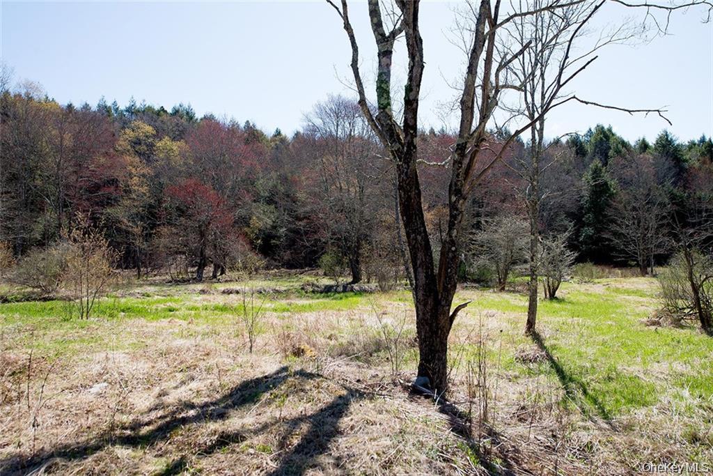 #15 photo, 50 Carr Road, Ferndale , NY 12734