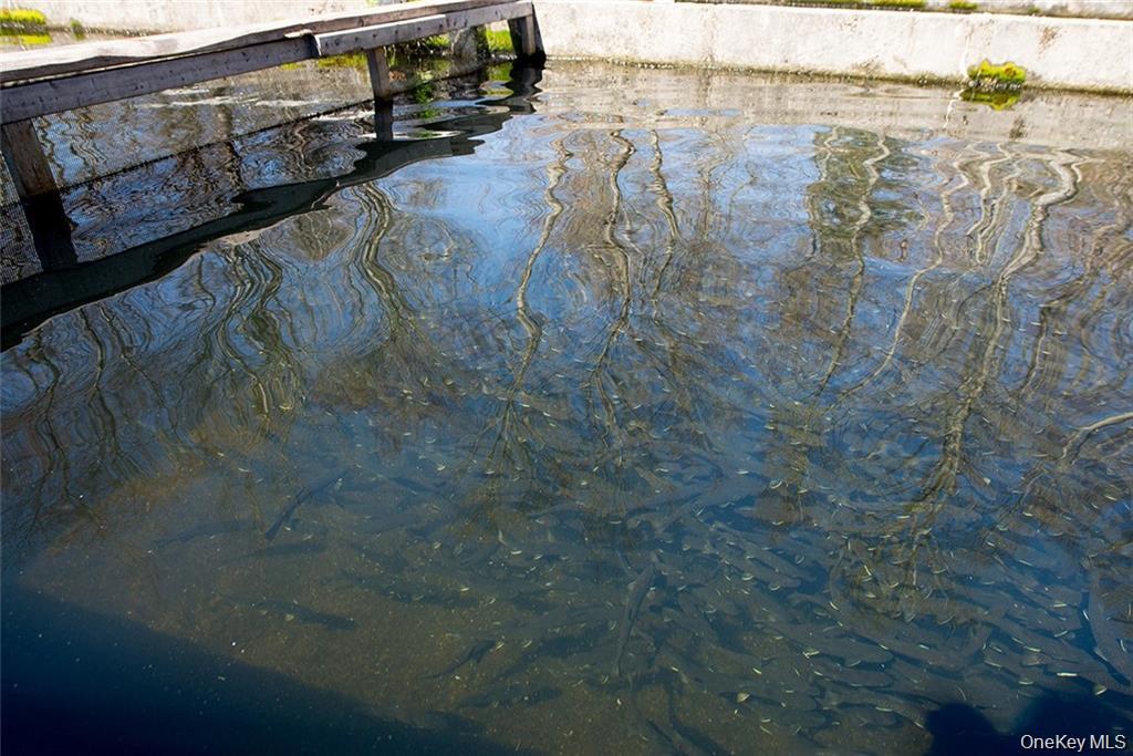 #16 photo, 50 Carr Road, Ferndale , NY 12734