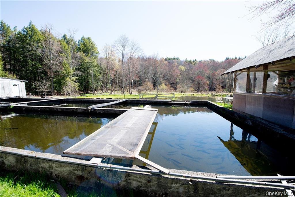 #18 photo, 50 Carr Road, Ferndale , NY 12734