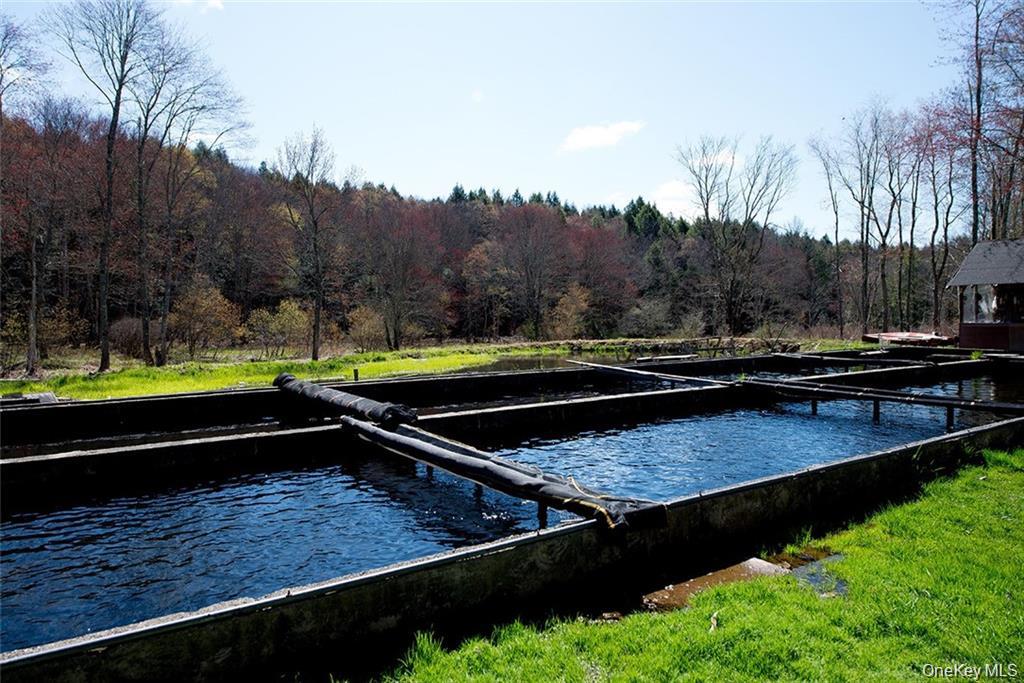 #3 photo, 50 Carr Road, Ferndale , NY 12734