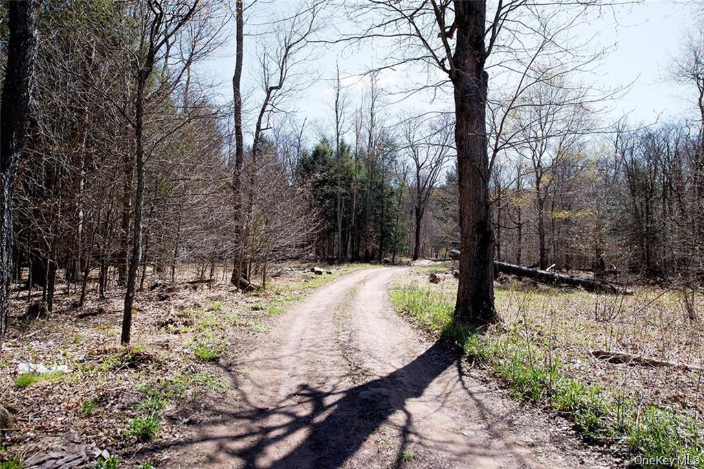 #6 photo, 50 Carr Road, Ferndale , NY 12734