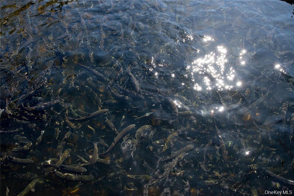 #7 photo, 50 Carr Road, Ferndale , NY 12734