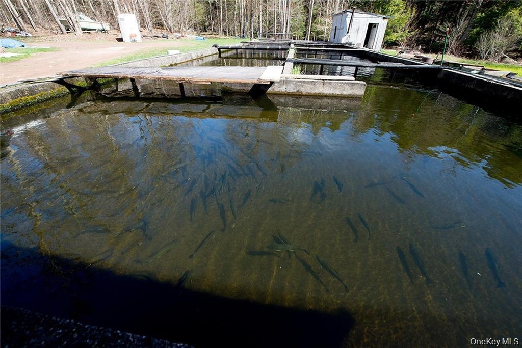 #8 photo, 50 Carr Road, Ferndale , NY 12734