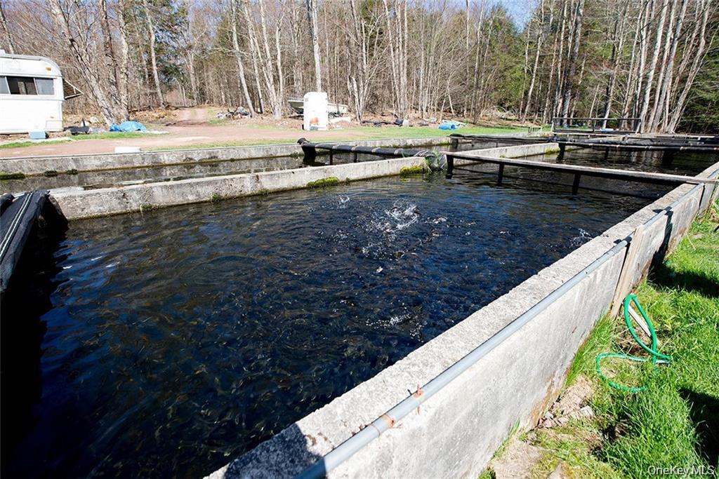 #9 photo, 50 Carr Road, Ferndale , NY 12734