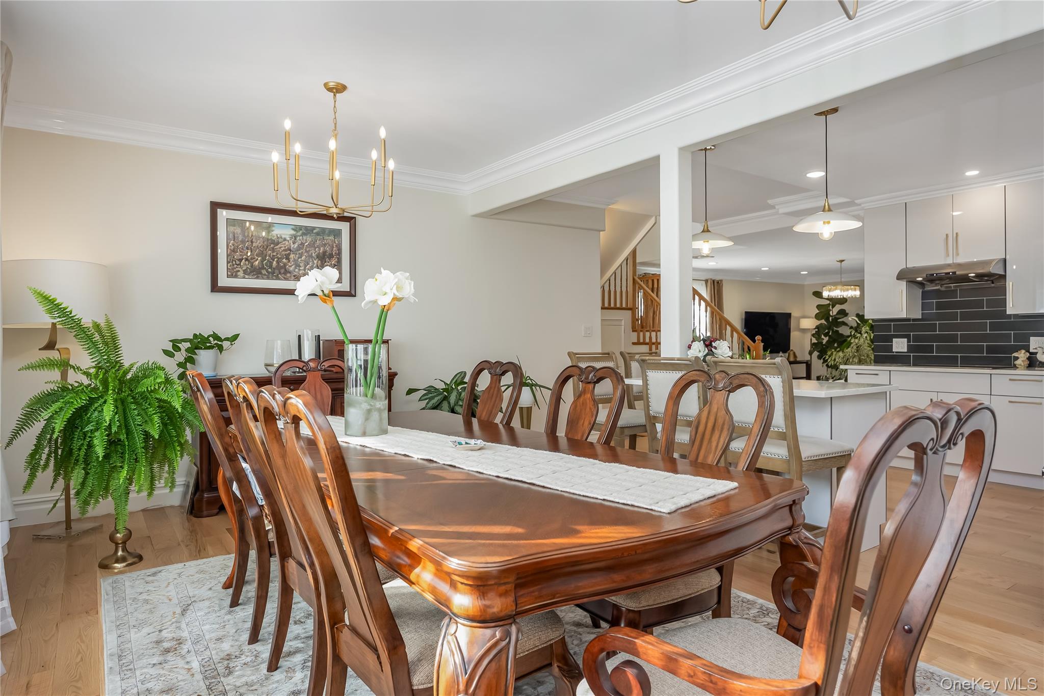 #9 photo, 2 Hamilton Street, Farmingdale , NY 11735